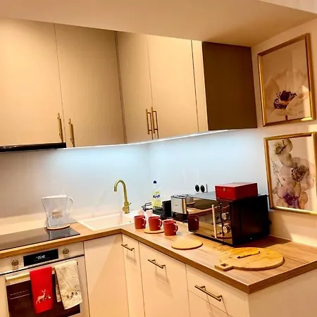 Flamingo Apartment Warsaw